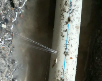 都兰卫生间测漏水多少钱